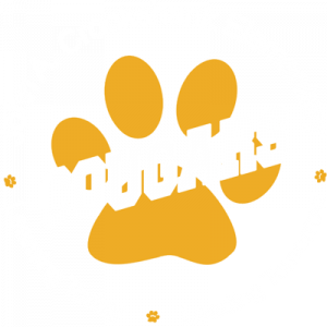 Cougars Logo